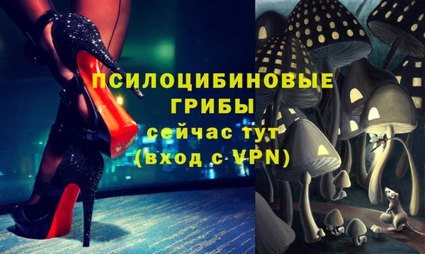 молекула духа Алексин