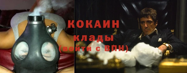 молекула духа Алексин