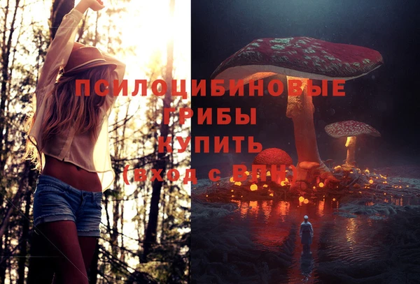 молекула духа Алексин
